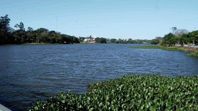 FB_IMG_1658766057230