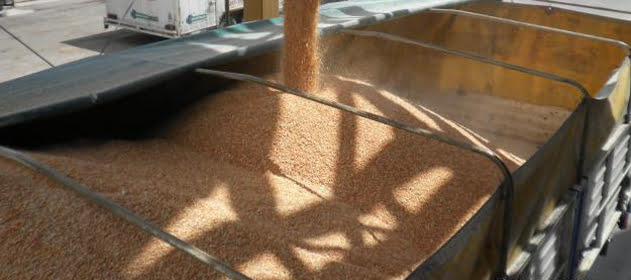 camion-carga-631x280-280-631-5393