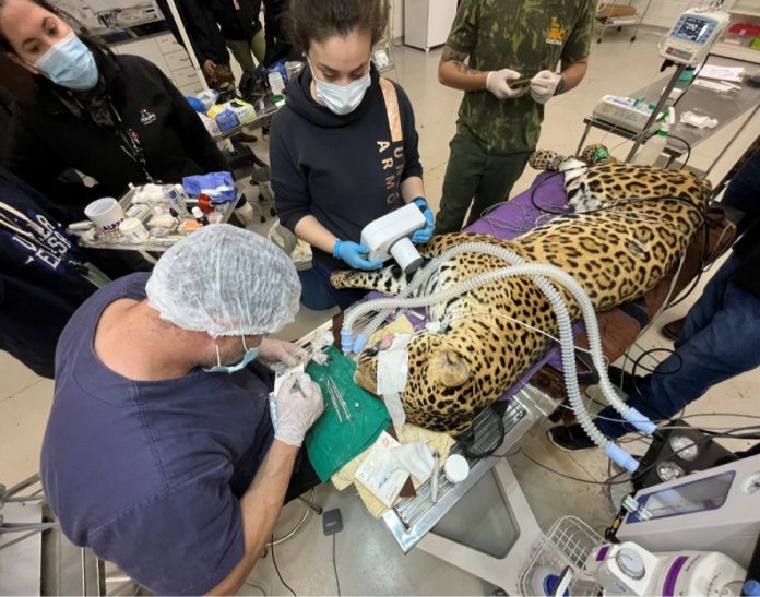 Screenshot_20230621-135527_Chrome