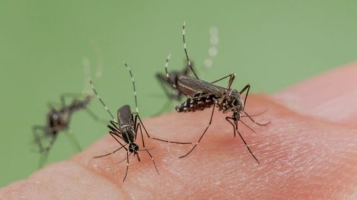 Screenshot_20230718-133503_Chrome